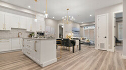 Edge Showsuite - Willow floorplan