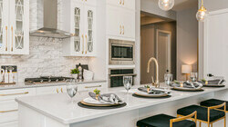 Edge Vibrant Showsuite