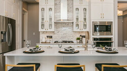 Edge Vibrant Showsuite