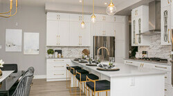 Edge Vibrant Showsuite