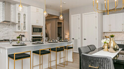 Edge Vibrant Showsuite