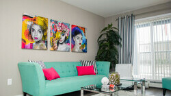 Sora Showsuite