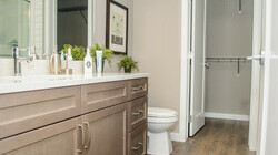 Sora Showsuite