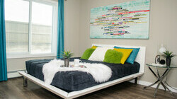 Sora Showsuite