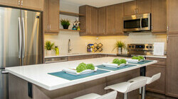 Sora Showsuite