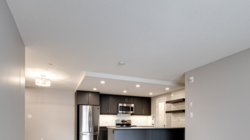 Sora Fosse floorplan in granite colour scheme